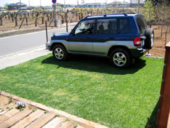 Grass parking9.jpg